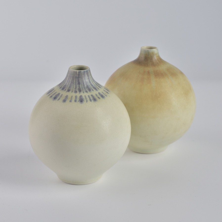 onions_08l_06